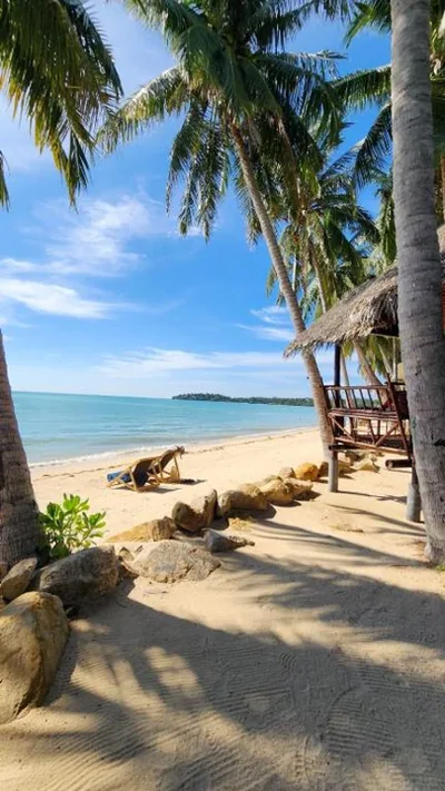 Castaway Beach Bungalows – Photos 3